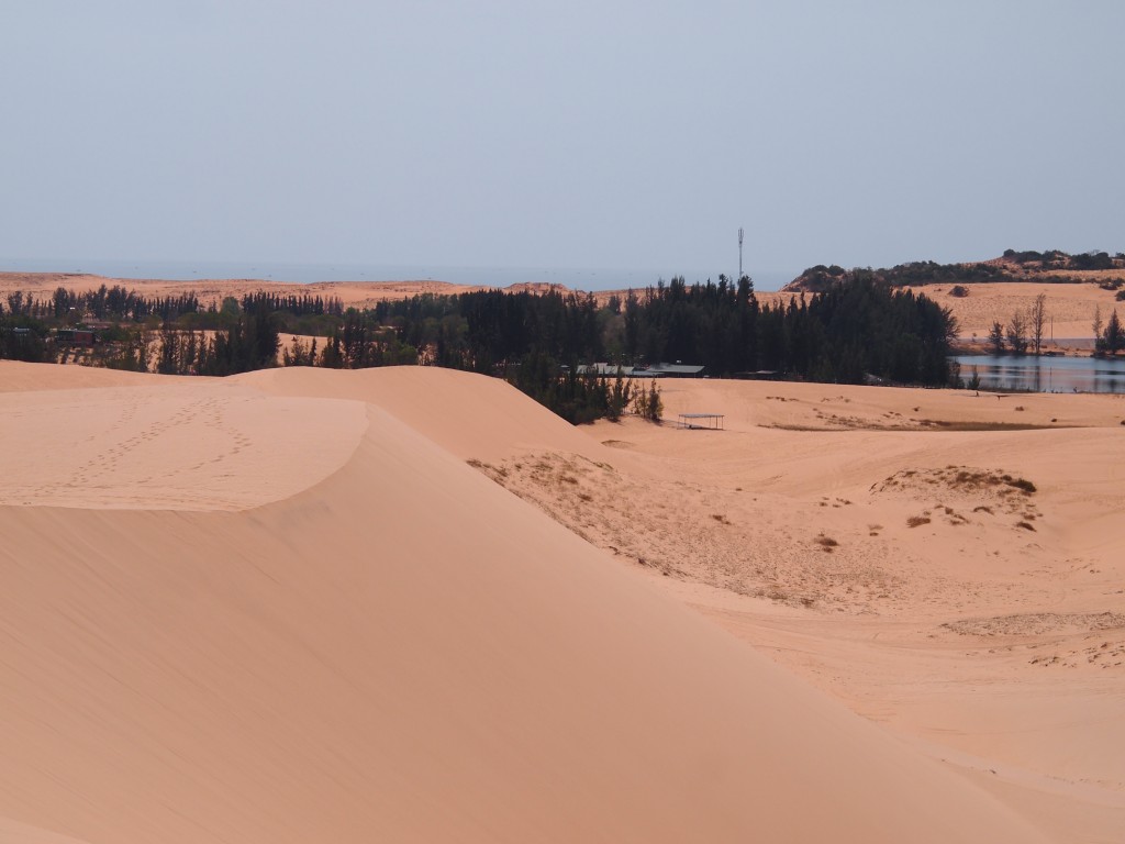 Les dunes blanches de Mui Ne